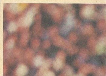 1979 Scanlens VFL #121 David Cloke Back